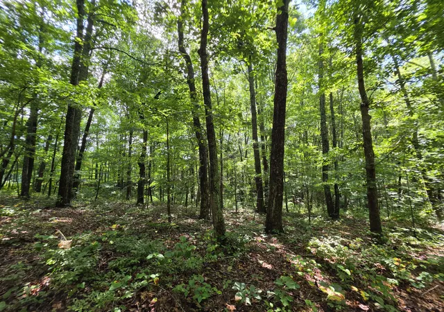 12th image of 12 Valley View Dr #12, Altamont, TN 37301 | MLS# 1541341