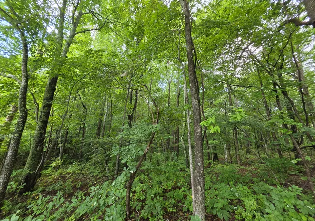 5th image of 12 Valley View Dr #12, Altamont, TN 37301 | MLS# 1541341