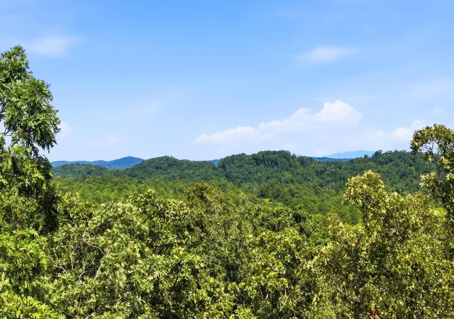 2nd image of 675 S Mcdonald Rd Sw, Mc Donald, TN 37353 | MLS# 1541382