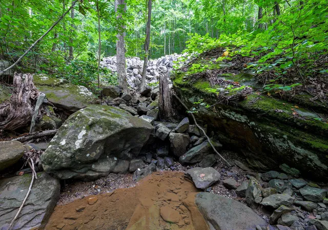 15th image of 00 Lee Station Mountain Road 90, Pikeville, TN 37367 | MLS# 1541361