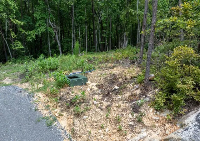 4th image of Lot 23 Escape Dr, Evensville, TN 37332 | MLS# 1541374