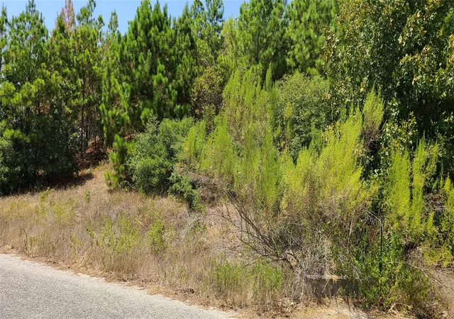 Photo 2 of Land for sale at Tbd Tall Forest Dr, Bastrop, TX 78602 | MLS# 2261493 | Listing updated on 2026-09-18