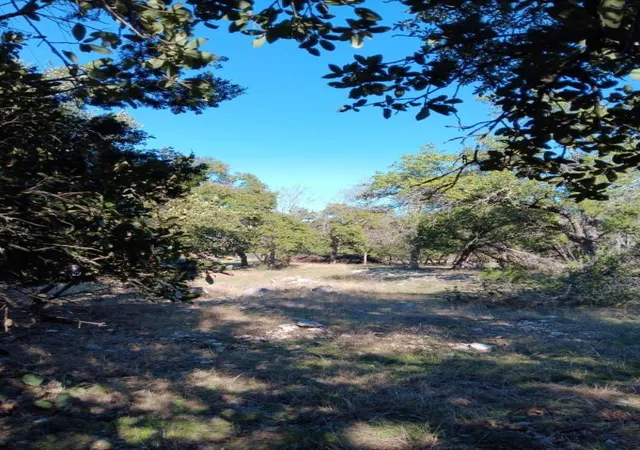 Photo 3 of Land for sale at 101 Timber Line Rd, Georgetown, TX 78633 | MLS# 4820214 | Listing updated on 2026-10-01