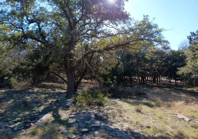 Photo 4 of Land for sale at 101 Timber Line Rd, Georgetown, TX 78633 | MLS# 4820214 | Listing updated on 2026-10-01