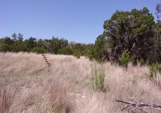 Photo 3 of Land for sale at 407 E Headwaters Ranch Rd, Kendalia, TX 78027 | MLS# 7320433 | Listing updated on 2026-09-16