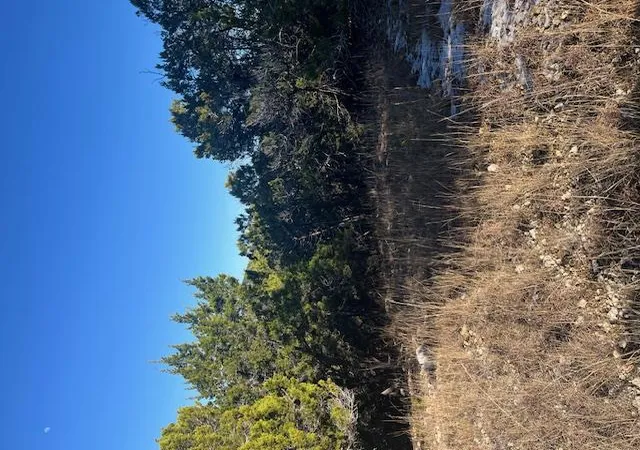 Photo 3 of Land for sale at 201 Assiniboia Dr, Canyon Lake, TX 78133 | MLS# 5216865 | Listing updated on 2026-09-16