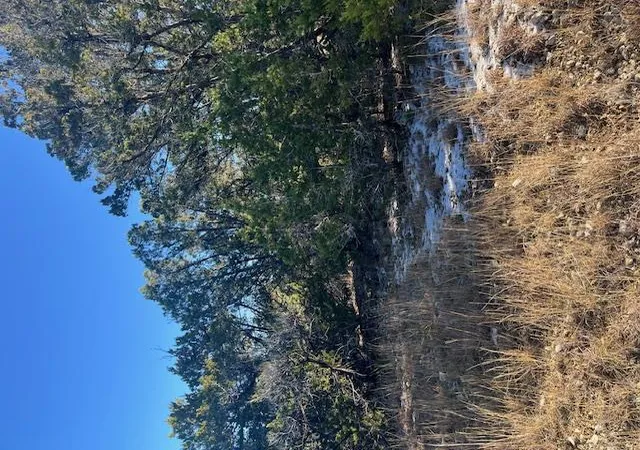 Photo 4 of Land for sale at 201 Assiniboia Dr, Canyon Lake, TX 78133 | MLS# 5216865 | Listing updated on 2026-09-16