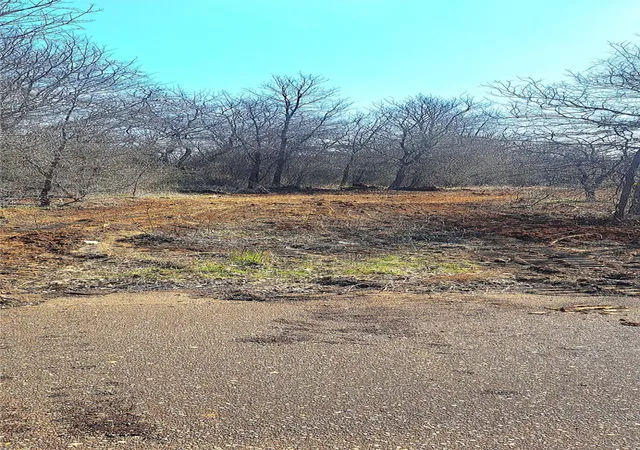 Photo 2 of Land for sale at 335 County Rd N, Rockdale, TX 76567 | MLS# 5635315 | Listing updated on 2026-09-18
