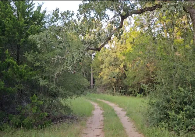 Land for sale at Tbd Easley Rd, Smithville, TX 78957 | MLS# 7742615