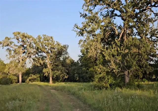 Photo 1 of House for sale at Tbd Easley Rd, Smithville, TX 78957 | MLS# 7742615 | Listing updated on 2026-09-17
