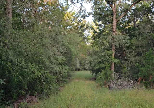 Photo 2 of House for sale at Tbd Easley Rd, Smithville, TX 78957 | MLS# 7742615 | Listing updated on 2026-09-17
