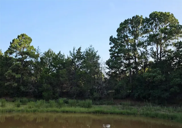 Photo 4 of House for sale at Tbd Easley Rd, Smithville, TX 78957 | MLS# 7742615 | Listing updated on 2026-09-17