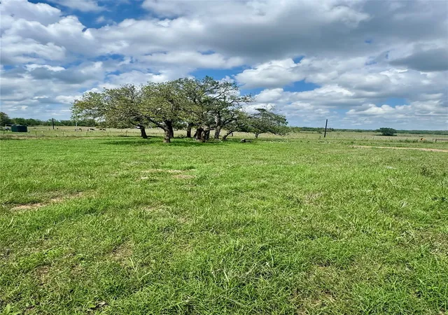 Photo 3 of Sale Pending at Tbd Lot 10 Cardinal Rd, Rosanky, TX 78953 | MLS# 8070189 | Listing updated on 2026-09-17
