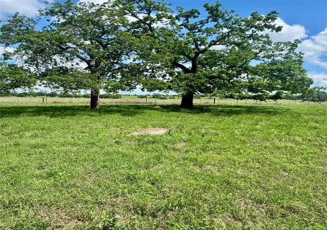 Photo 4 of Sale Pending at Tbd Lot 10 Cardinal Rd, Rosanky, TX 78953 | MLS# 8070189 | Listing updated on 2026-09-17
