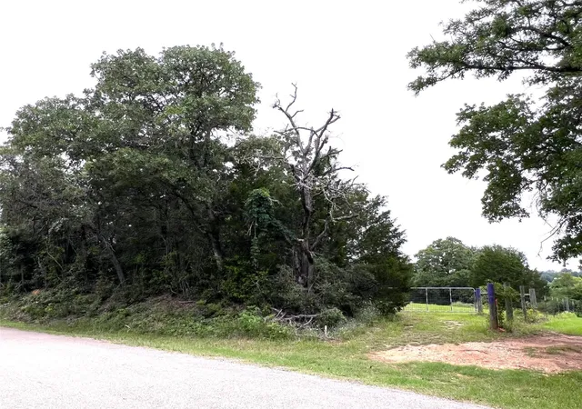 Photo 3 of Land for sale at 160 Rosanky Cattle Company Rd, Rosanky, TX 78953 | MLS# 2244687 | Listing updated on 2026-09-17