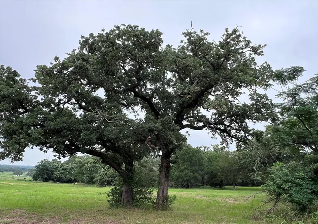 Photo 4 of Land for sale at 00 Rosanky Cattle Company Rd, Rosanky, TX 78953 | MLS# 2083193 | Listing updated on 2026-09-17