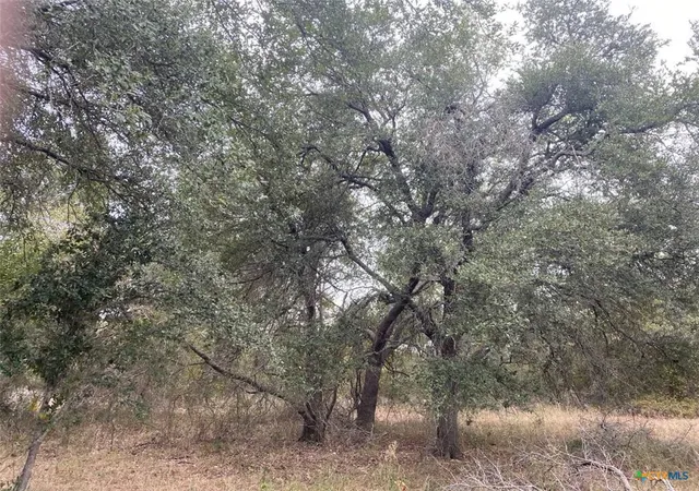 Photo 2 of Land for sale at Tbd County Rd 405, Buckholts, TX 76518 | MLS# 5804750 | Listing updated on 2026-09-08