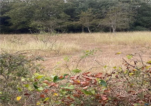 Photo 3 of Land for sale at Tbd County Rd 405, Buckholts, TX 76518 | MLS# 5804750 | Listing updated on 2026-09-08