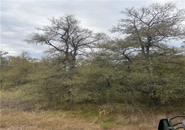 Photo 3 of Land for sale at Tbd County Rd 405, Buckholts, TX 76518 | MLS# 5804750 | Listing updated on 2026-09-08