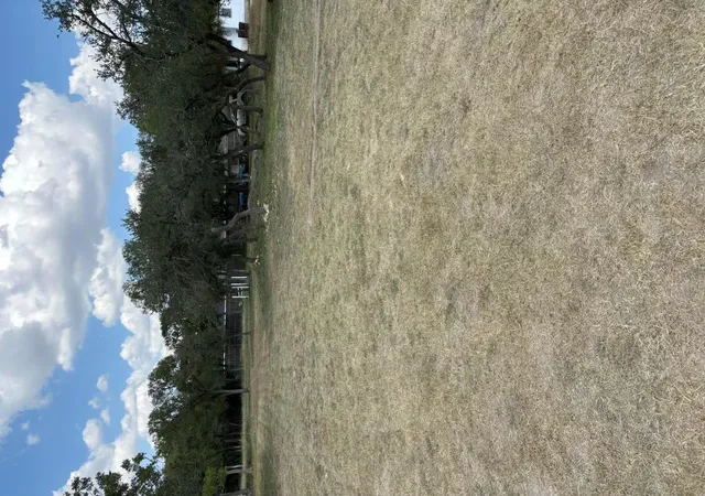 Photo 4 of Land for sale at 1325 Old Austin Rock Rd, Round Rock, TX 78681 | MLS# 8655670 | Listing updated on 2026-09-16
