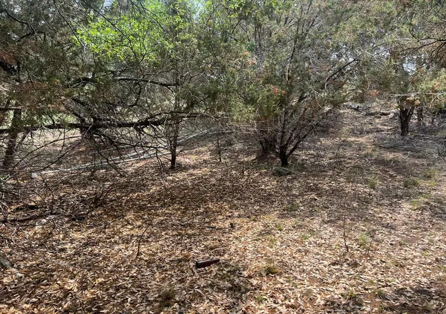 Photo 3 of Land for sale at 19906 Constitution Cv, Lago Vista, TX 78645 | MLS# 1865470 | Listing updated on 2026-09-08