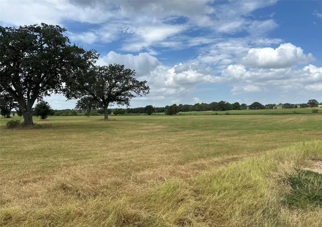 Photo 2 of Land for sale at 000 Old Potato Rd, Paige, TX 78659 | MLS# 6235345 | Listing updated on 2026-09-16