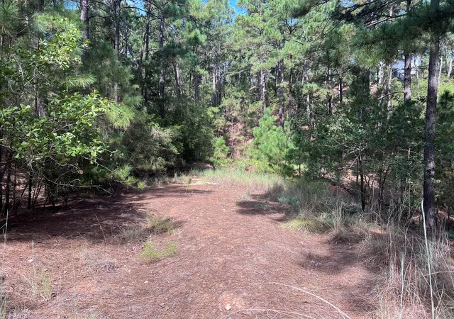 Photo 2 of Land for sale at Tbd Okoe Ct W, Bastrop, TX 78602 | MLS# 5492360 | Listing updated on 2026-09-16