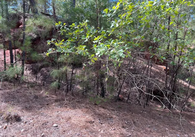 Photo 3 of Land for sale at Tbd Okoe Ct W, Bastrop, TX 78602 | MLS# 5492360 | Listing updated on 2026-09-16