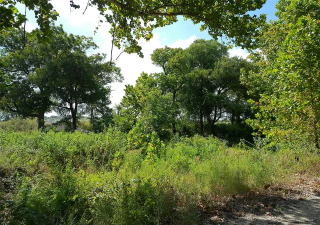 Photo 3 of Land for sale at Lot 29 Serenity Dr, Bertram, TX 78605 | MLS# 5784150 | Listing updated on 2026-09-17