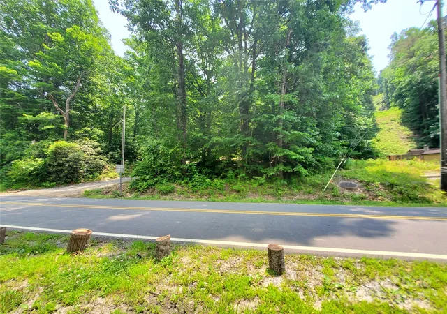 Photo 4 of Land for sale at 000 Green River Cvs Rd, Saluda, NC 28773 | MLS# 4274181 | Listing updated on 2026-09-18