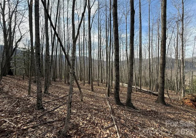 Photo 1 of Land for sale at 1029 Chippawa Dr #67, Arden, NC 28704 | MLS# 4301240 | Listing updated on 2026-09-08