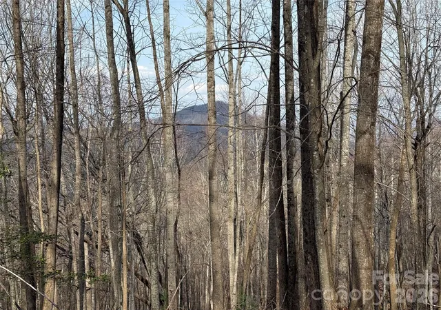 Photo 2 of Land for sale at 1029 Chippawa Dr #67, Arden, NC 28704 | MLS# 4301240 | Listing updated on 2026-09-08