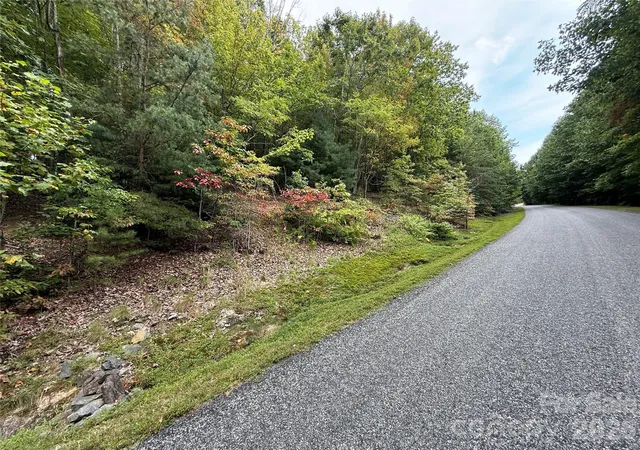 Photo 3 of Land for sale at 1029 Chippawa Dr #67, Arden, NC 28704 | MLS# 4301240 | Listing updated on 2026-09-08