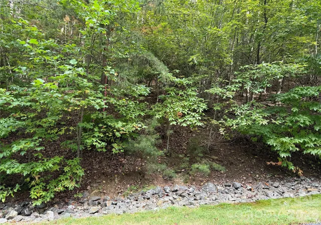 Photo 4 of Land for sale at 1029 Chippawa Dr #67, Arden, NC 28704 | MLS# 4301240 | Listing updated on 2026-09-08