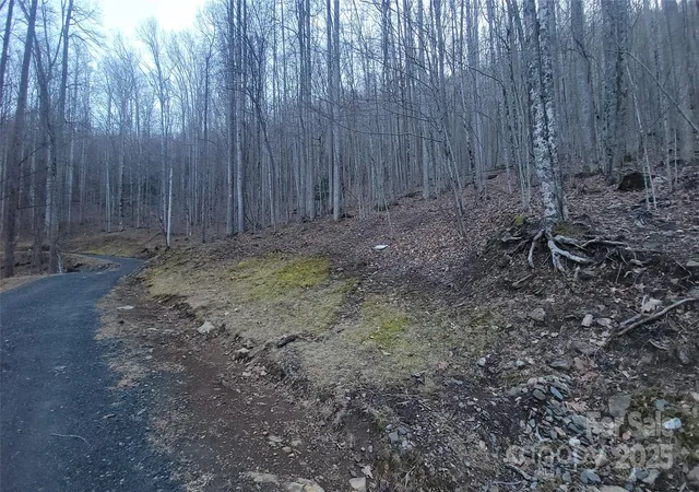 Photo 3 of Land for sale at Lot 7b Hickory Springs Rd #7B, Burnsville, NC 28714 | MLS# 4327146 | Listing updated on 2026-09-08