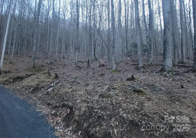 Photo 4 of Land for sale at Lot 7b Hickory Springs Rd #7B, Burnsville, NC 28714 | MLS# 4327146 | Listing updated on 2026-09-08