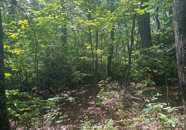 Photo 3 of Land for sale at 0 Pine Ridge Rd #21, Hendersonville, NC 28792 | MLS# 4341854 | Listing updated on 2026-09-28