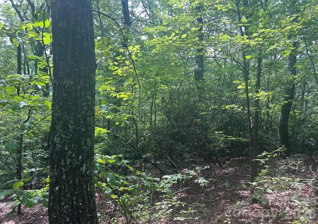 Photo 4 of Land for sale at 0 Pine Ridge Rd #21, Hendersonville, NC 28792 | MLS# 4341854 | Listing updated on 2026-09-28