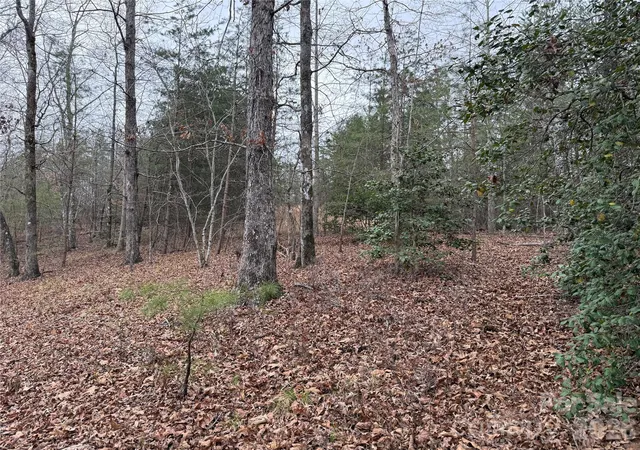 Photo 2 of Land for sale at 0 Shady Bark Ln #40, Rutherfordton, NC 28139 | MLS# 4358641 | Listing updated on 2026-09-09
