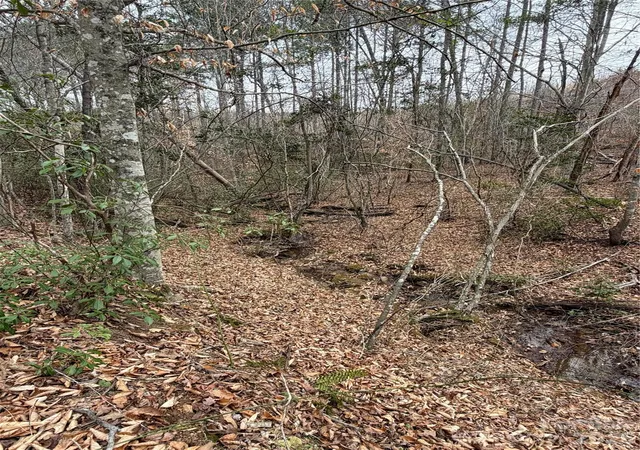 Photo 3 of Land for sale at 0 Shady Bark Ln #40, Rutherfordton, NC 28139 | MLS# 4358641 | Listing updated on 2026-09-09