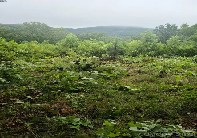 Photo 2 of Land for sale at 0 Osprey Ln, Nebo, NC 28761 | MLS# 4380250 | Listing updated on 2026-09-16