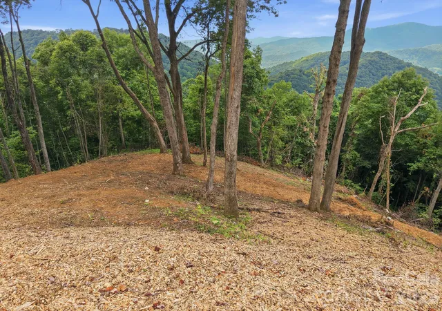 Land for sale at 99999 Davidson Gap Rd #79, Leicester, NC 28748 | MLS# 4390344