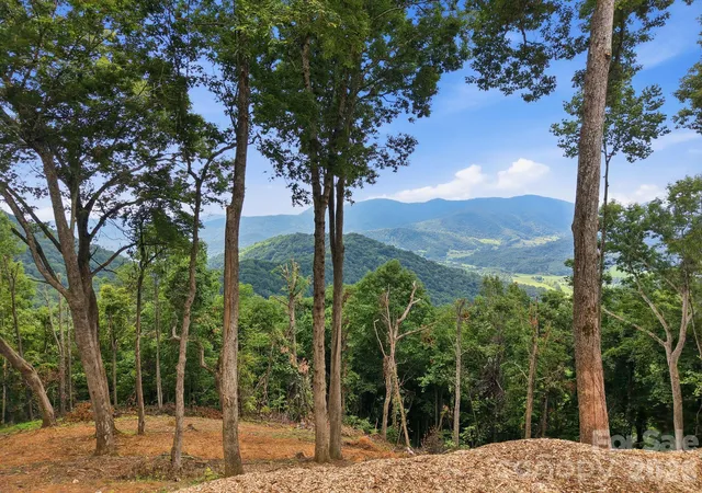 Photo 2 of Land for sale at 99999 Davidson Gap Rd #79, Leicester, NC 28748 | MLS# 4390344 | Listing updated on 2026-09-16