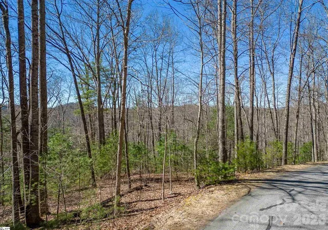Photo 1 of Sale Pending at 132 Overlook Park Dr #51, Hendersonville, NC 28792 | MLS# 4396151 | Listing updated on 2026-09-17