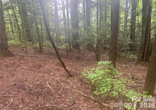 Photo 3 of Land for sale at Tbd Upper Whitewater Rd, Brevard, NC 28712 | MLS# 4414879 | Listing updated on 2026-09-17
