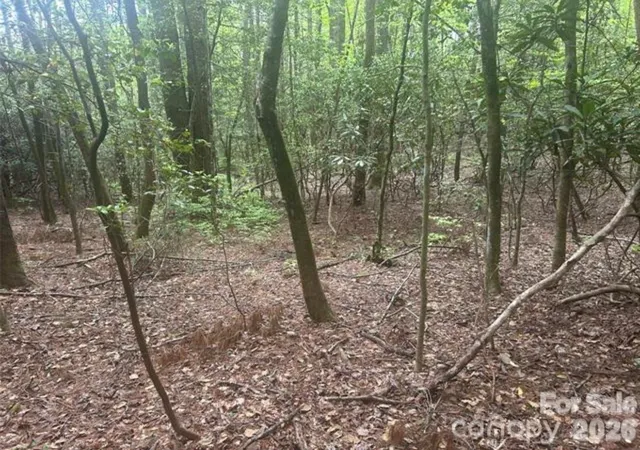Photo 4 of Land for sale at Tbd Upper Whitewater Rd, Brevard, NC 28712 | MLS# 4414879 | Listing updated on 2026-09-17