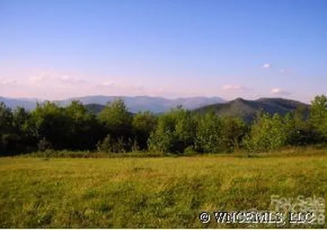 Photo 1 of Land for sale at 9999 Ebby Ridge Dr #336, Fairview, NC 28730 | MLS# 4421339 | Listing updated on 2026-09-17
