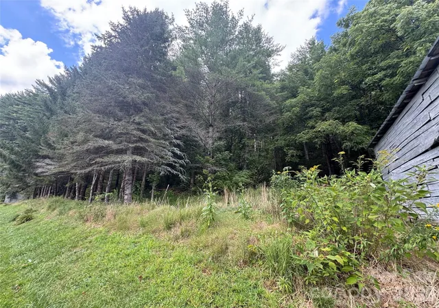 Photo 3 of Land for sale at 000 Puncheon Frk Rd, Mars Hill, NC 28754 | MLS# 4422781 | Listing updated on 2026-09-08