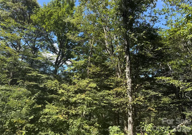 Photo 2 of Land for sale at 110 Chestnut Ln, Mars Hill, NC 28754 | MLS# 4423096 | Listing updated on 2026-09-17