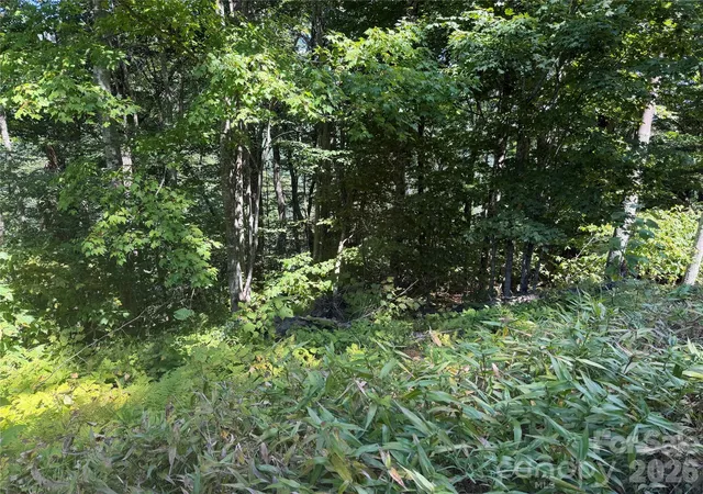 Photo 3 of Land for sale at 110 Chestnut Ln, Mars Hill, NC 28754 | MLS# 4423096 | Listing updated on 2026-09-17